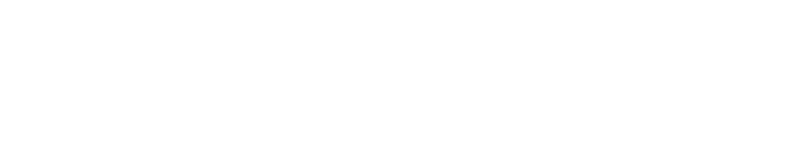 blendX Development